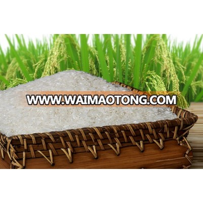 Vietnam jasmine rice 5% broken - 100% clean and dried